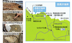 男鹿半島・大潟ジオパーク_エリアマップ03_西黒沢海岸
